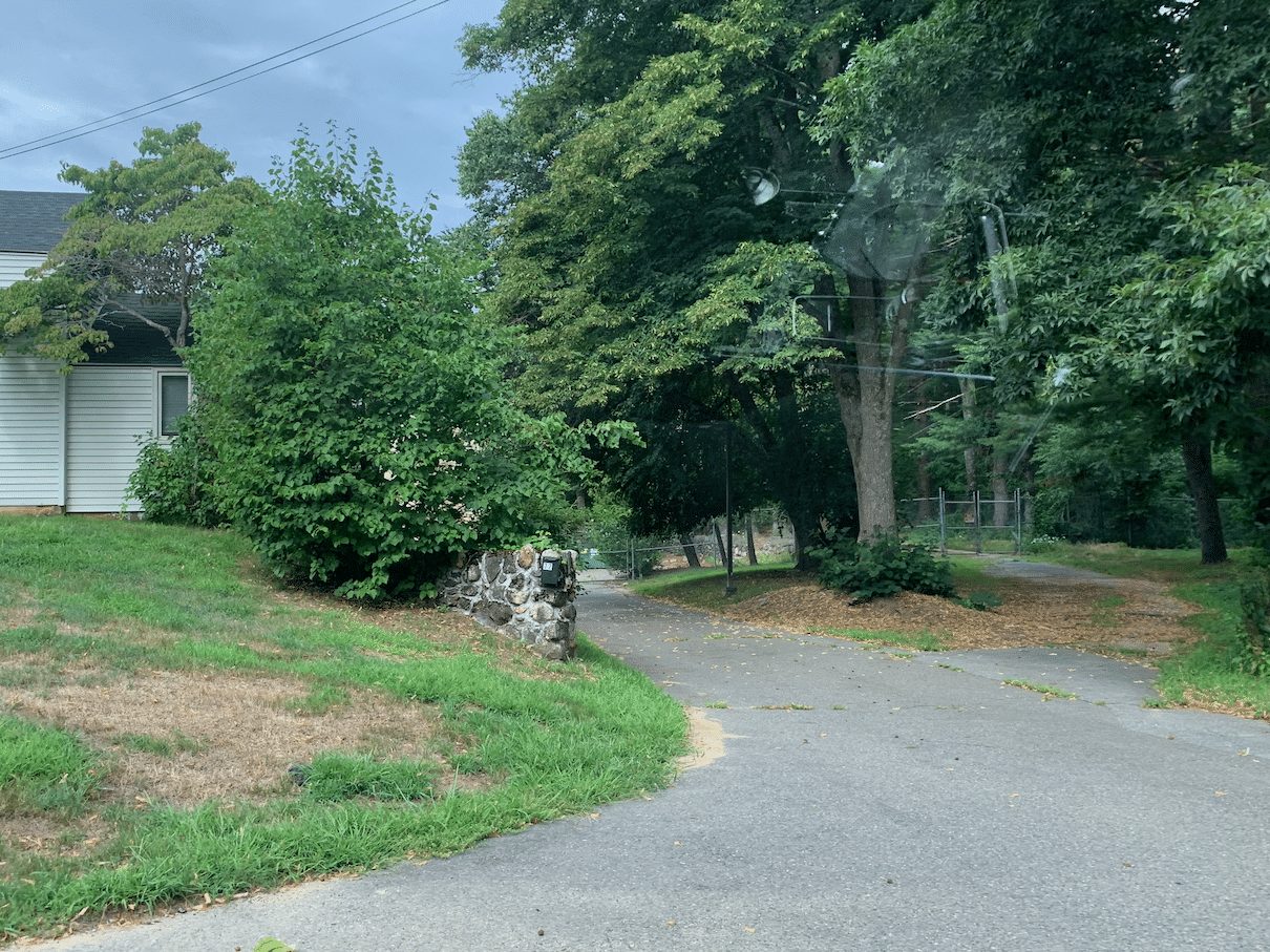 Another view of the security fence, and driveway leading into the compound.